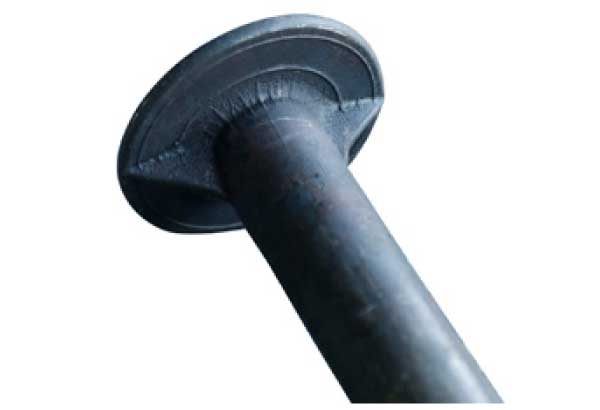 DOME HEAD 2 FINS
