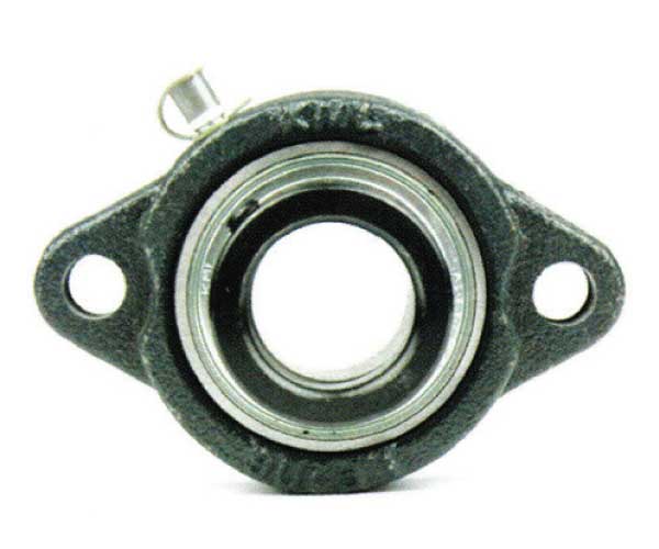 TWO BOLT FLANGE UNITS UNITS LIGHT- SBLF 200 1 two bolt SAFL200